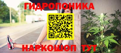 дмт Белореченск