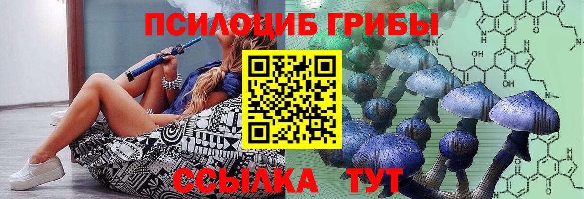 Альфа ПВП Благодарный