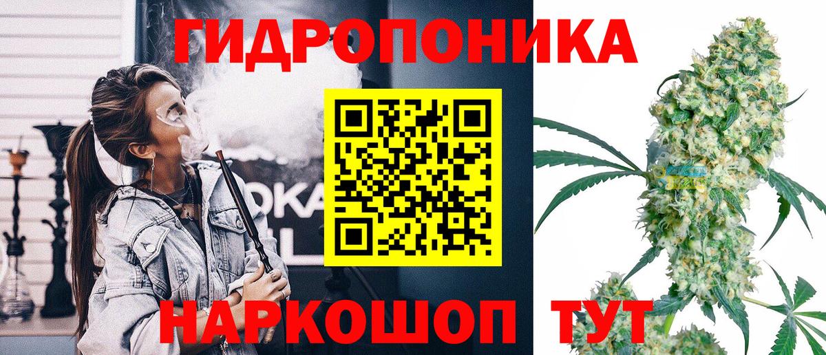 Каннабис OG Kush  Бошки марихуана тримм  Благодарный  Вход с VPN  МАРИХУАНА MAZAR 